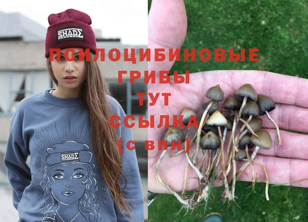 гашик Балахна