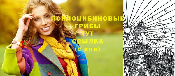 гашик Балахна