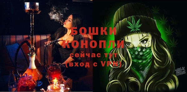 дживик Сосновоборск