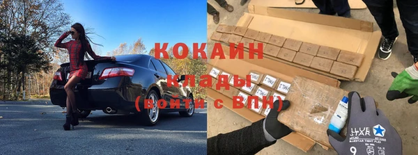 гашик Балахна