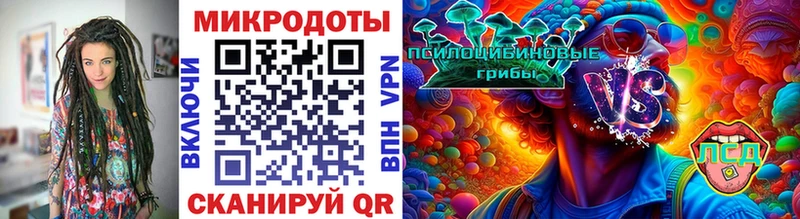 Псилоцибиновые грибы Psilocybine cubensis  KRAKEN как зайти  Котельнич 